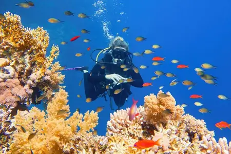 Sharm El Sheikh Excursions